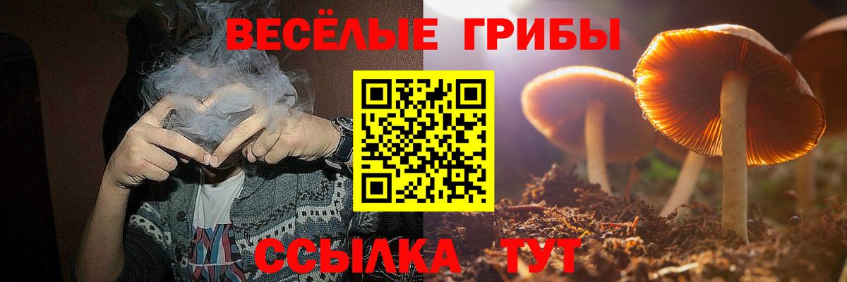 Псилоцибиновые грибы мицелий Клинцы